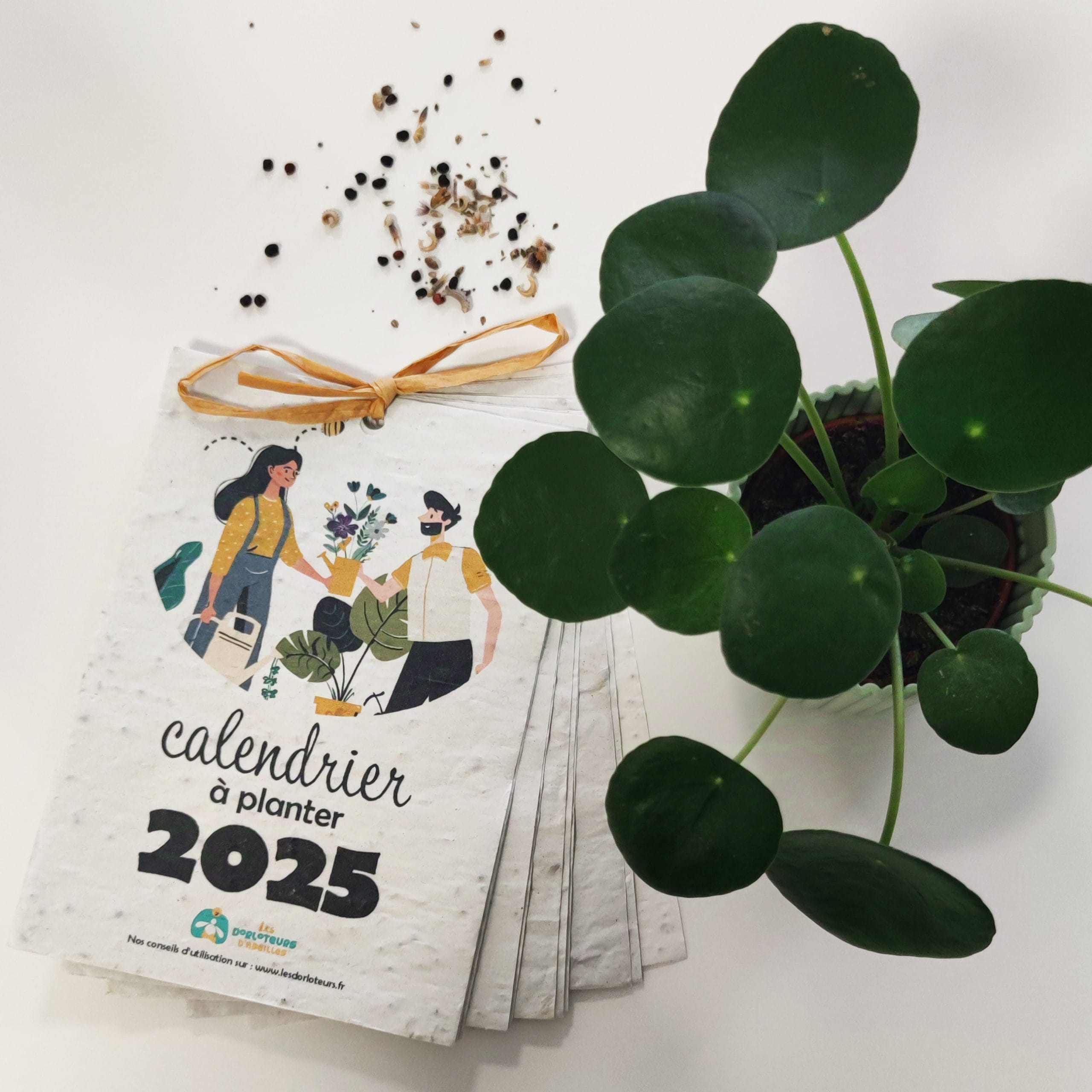 Calendrier À Planter 2025 | Nature &amp;amp; Découvertes | Calendrier De L&amp;amp;#039;avent 2025