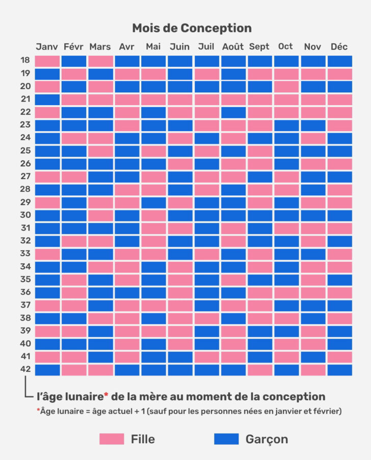 Calendrier Chinois Grossesse Calcul 2024 2025