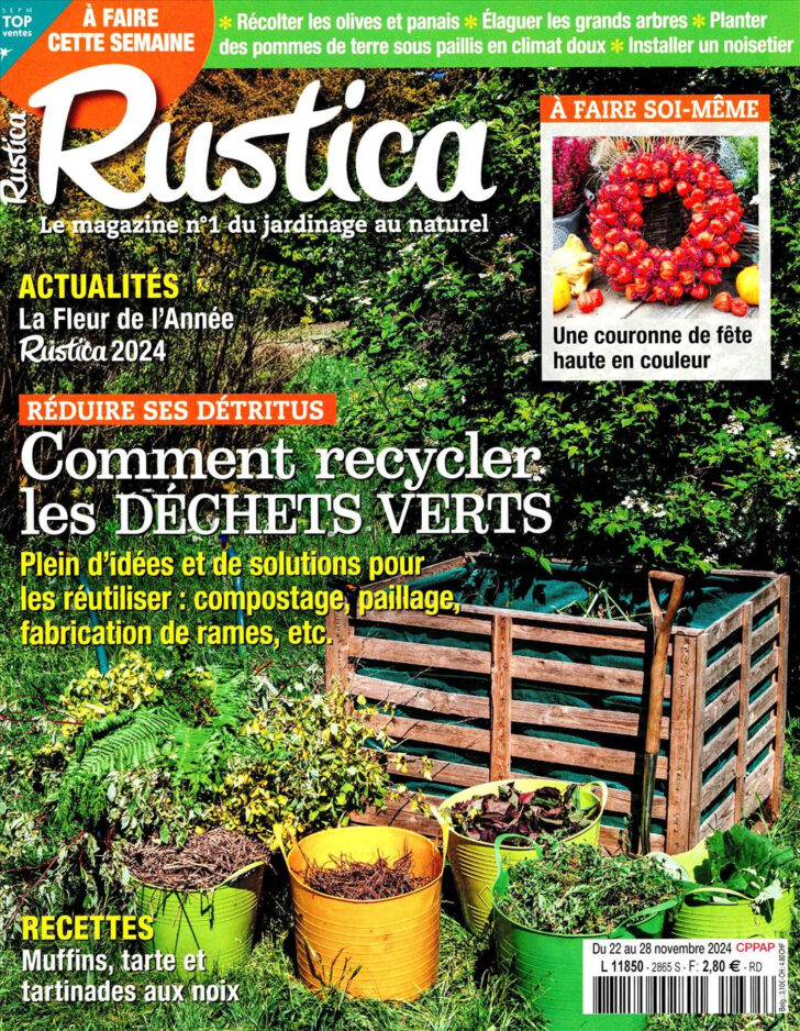 Almanach 2025 Rustica