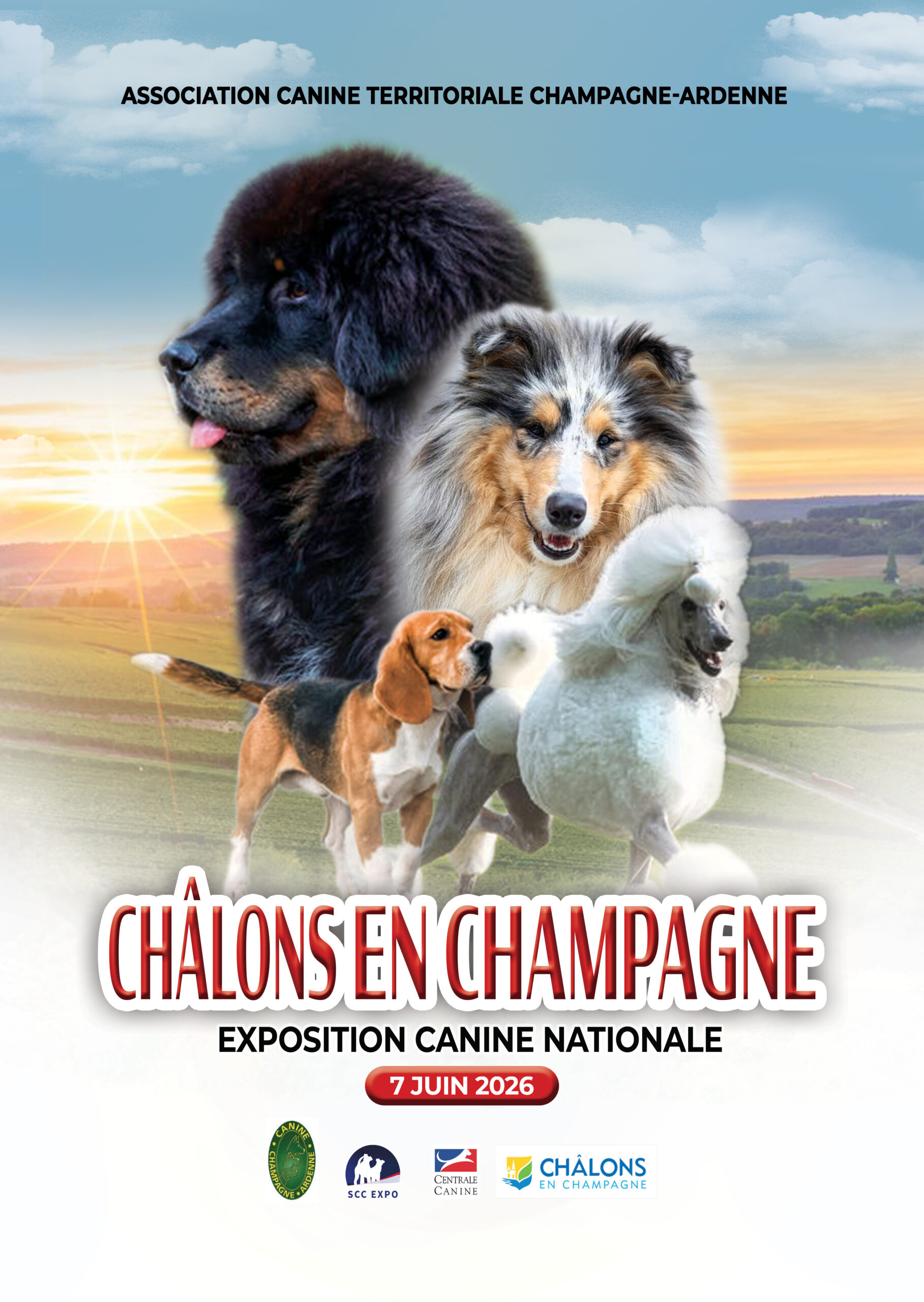 Expositions - Expositions Canines - Engagement En Ligne | Calendrier Exposition Canine 2026