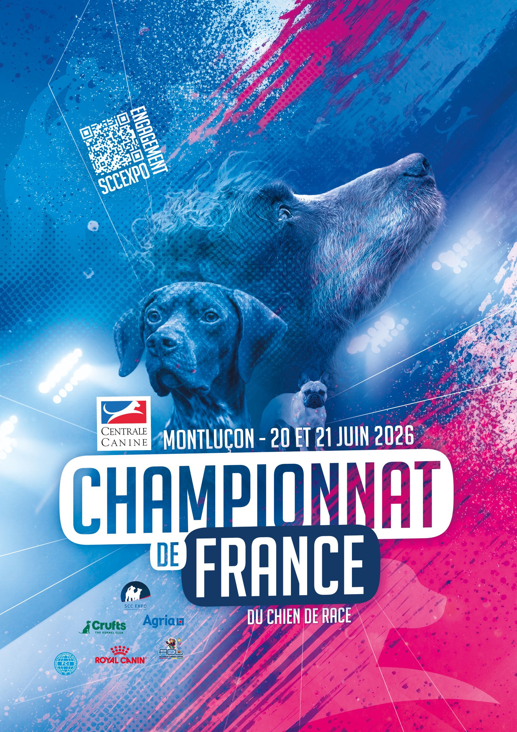 Expositions - Expositions Canines - Engagement En Ligne | Calendrier Exposition Canine 2026