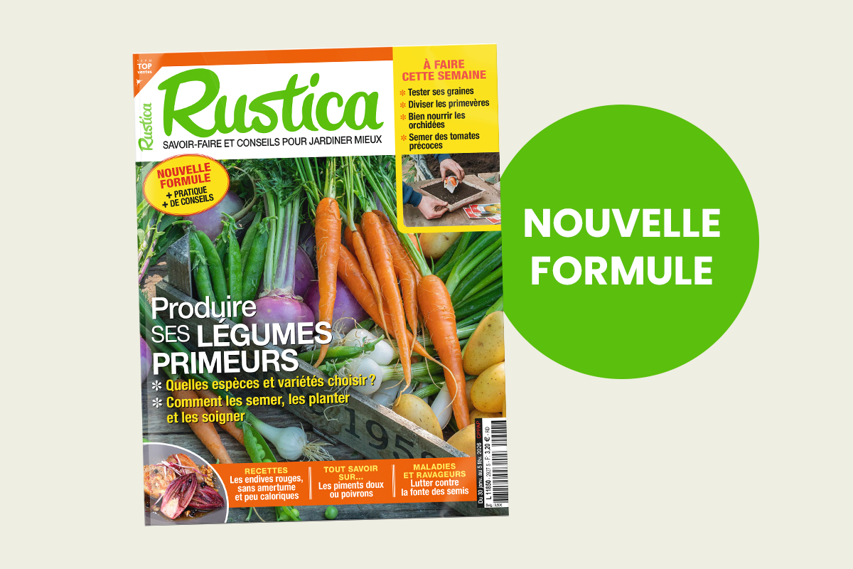 Nouvelle Formule De Rustica : Votre Magazine S&amp;#039;Enrichit De | Almanach 2026 Rustica